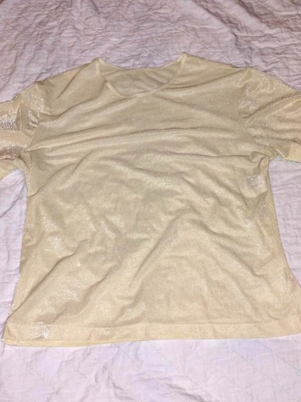 Laura Ashley Shimmer Short Sleeve Top in Cream Size Large